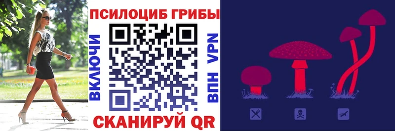 где найти   Бирюсинск  Галлюциногенные грибы прущие грибы 